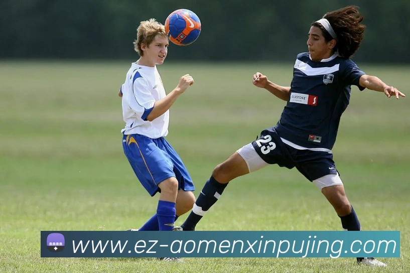 澳门新葡京娱乐APP 封面图